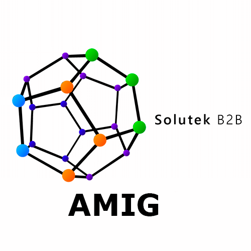 Amig